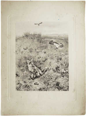 Неизвестный художник (Шмитцбергер И.). Гнездо чибиса